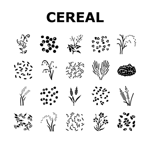 cereal plant healthy food icons set vector. breakfast bowl, milk corn, wheat grain, snack morning, organic meal, sweet cereal plant healthy food glyph pictogram Illustrations