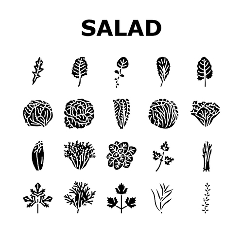 salad food healthy green fresh icons set vector. vegetable bowl, meal lunch, dish dinner, lettuce tomato, plate vegetarian, diet salad food healthy green fresh glyph pictogram Illustrations