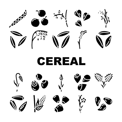 cereal plant healthy food icons set vector. breakfast bowl, milk corn, wheat grain, snack morning, organic meal, sweet cereal plant healthy food glyph pictogram Illustrations