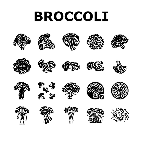 broccoli food cabbage vegetable icons set vector. brocolli green, vegan character, design salad, plant veggie, happy healthy, vitamin broccoli food cabbage vegetable glyph pictogram Illustrations