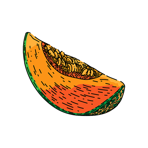 melon cantaloupe slice hand drawn vector. food fruit, green orange, sweet fresh vegetable, ripe japanese, honey melon cantaloupe slice sketch. isolated color illustration