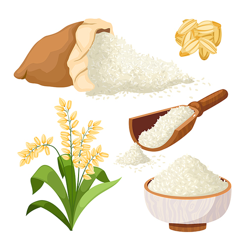 rice grain set cartoon. food bowl, raw, plant, baasmati agriculture, broun asian long farm seed rice grain vector illustration