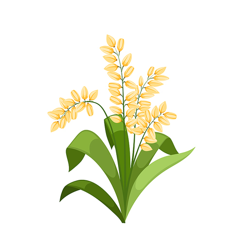 rice plant cartoon. paddy grain, field brown agriculture, food green leaf seed rice plant vector illustration