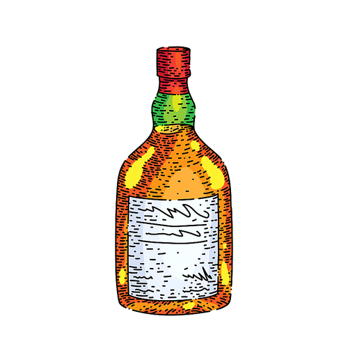 rum bottle hand drawn vector. whiskey alcohol liquor, glass brandy cognac, bourbon rum bottle sketch. isolated color illustration