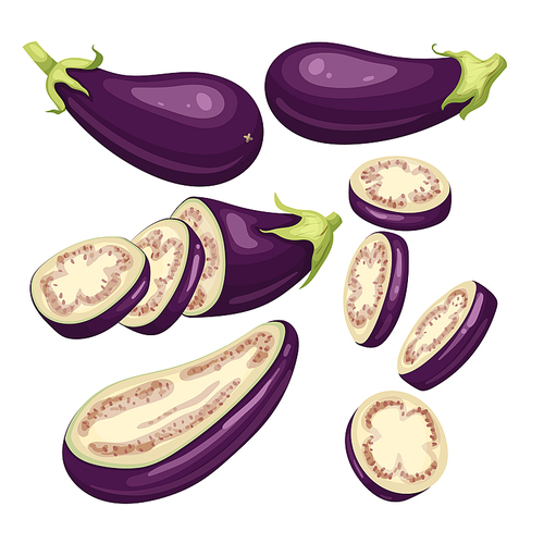 eggplant aubergine set cartoon. purple fresh, plant food, organic healthy, agriculture fruit, brinjal garden, raw, closeup violet, harvest eggplant aubergine vector illustration