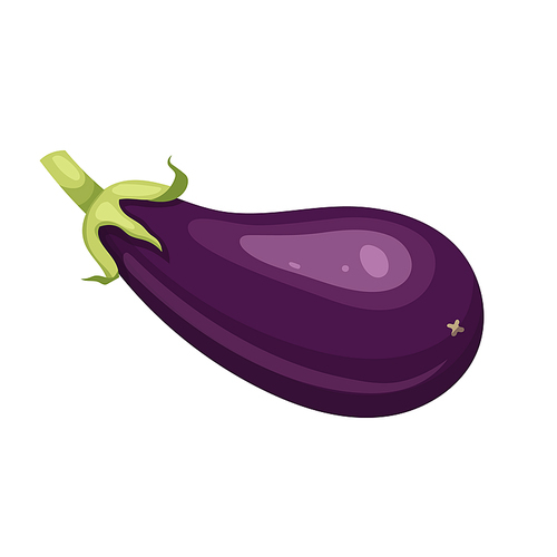 eggplant vegetable cartoon. purple fresh, plant food, organic healthy, agriculture fruit, brinjal garden, raw closeup, violet harvest eggplant vegetable vector illustration