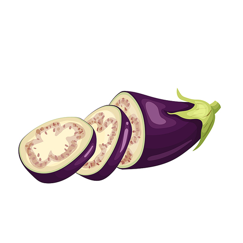 eggplant slice cartoon. purple fresh, plant food, organic healthy, agriculture fruit, brinjal garden, raw viole eggplant slice vector illustration
