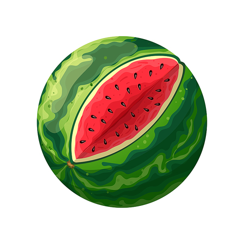 watermelon cut cartoon. fruit water, slice half, summer red, fresh, green sweet, piece juicy watermelon cut vector illustration