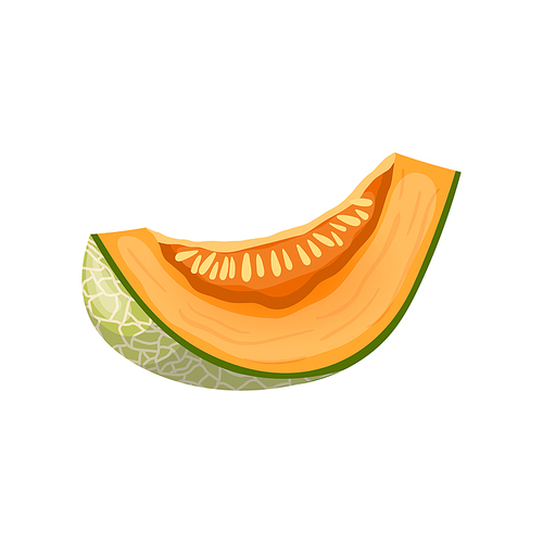 melon cantaloupe slice cartoon. food fruit, green orange, sweet fresh vegetable, ripe japanese, honey melon cantaloupe slice vector illustration