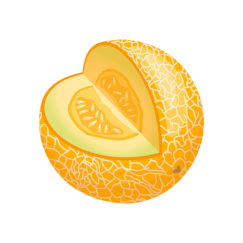melon yellow cartoon. fruit honey, slice food, summer orange, healthy organic, diet half, sweet cut, fresh green melon yellow vector illustration
