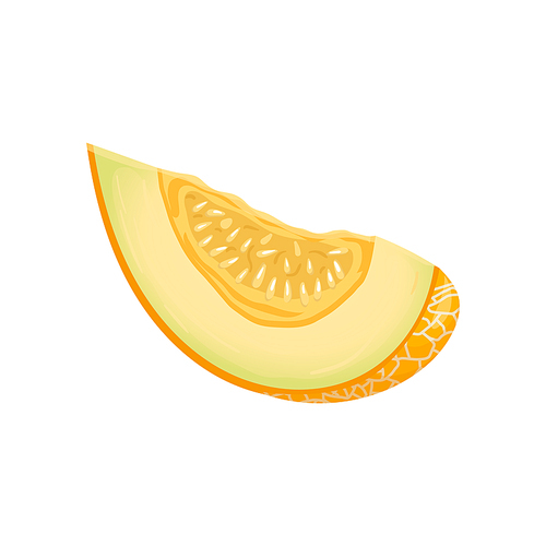 melon yellow slice cartoon. fruit honey food, summer orange, healthy organic, diet half, sweet cut, fresh green melon yellow slice vector illustration