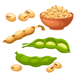 soya food bean set cartoon. soy soybean, healthy seed, natural organic, vegetarian grain, nutrition health protein, raw soya food bean vector illustration