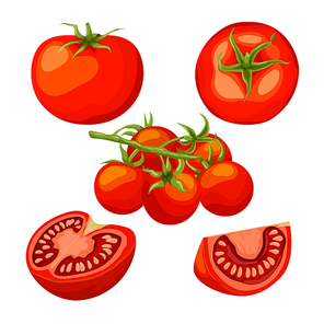 tomato red set cartoon. vegetable food, ripe fresh, organic leaf, green raw, plant agriculture cut tomato red vector illustration