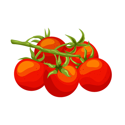 cherry tomatoes cartoon. red small, fresh organic, branch vegetable, food green top view, half above, agriculture healthy cherry tomatoes vector illustration