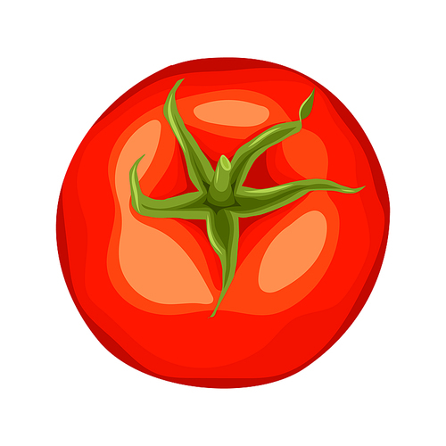 tomato food cartoon. vegetable organic, red healthy, green fresh, ingredient diet cooking, ripe tomato food vector illustration