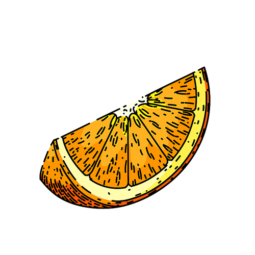 orange ripe hand drawn vector. fruit citrus, half juicy, organic slice cut, juice fresh, sweet vitamin, tropical background, piece orange ripe sketch. isolated color illustration