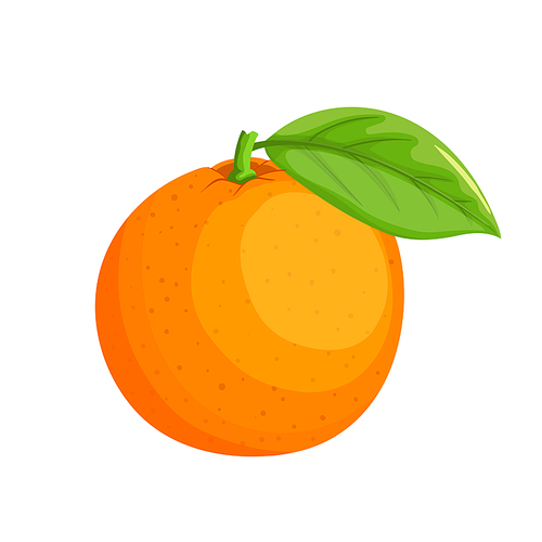 orange citrus cartoon. fruit tropical, slice juice, sweet green, fresh food, vitamin healthy, juicy organic, ripe leaf, piece nature orange citrus vector illustration
