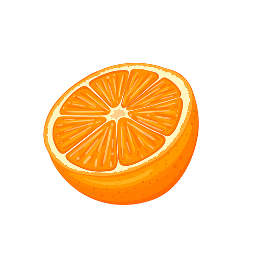 orange cut cartoon. fruit citrus, half juicy, slice juice, fresh sweet, organic ripe, piece healthy, vitamin tropical orange cut vector illustration