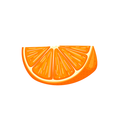 orange slice cartoon. fruit half, citrus fresh, cut closeup, vegetarian piece, juicy organic, ripe juice, sweet food orange slice vector illustration