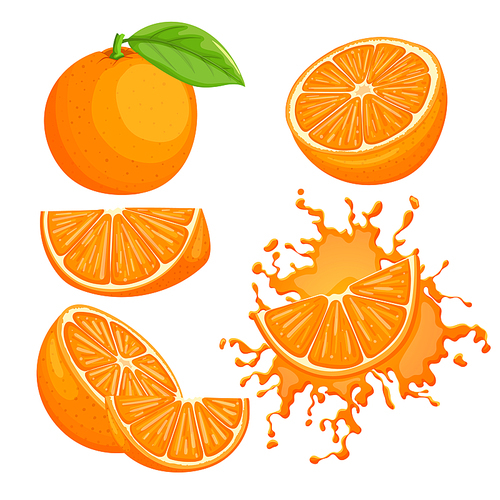 orange fruit set cartoon. citrus fresh, ripe juicy, organic slice, juice sweet, food vitamin, closeup half, healthy raw, tropical cut, leaf orange fruit vector illustration