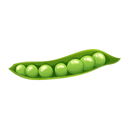 green pea food cartoon. vegetable fresh, healthy vegetarian, pod, plant natural, raw bean, ripe ingredient, nature green pea food vector illustration
