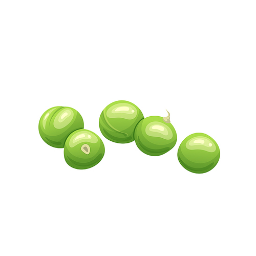 green pea food cartoon. vegetable fresh, healthy vegetarian, organic , plant natural, raw bean, ripe ingredient, nature green pea food vector illustration