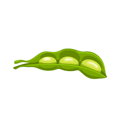 green soya cartoon. soy vegetable, bean pod, healthy food, fresh vegetarian, edamame soybean, protein green soya vector illustration