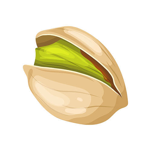 pistachio organic food cartoon. nut natural, healthy nature, snack vegetarian, nutshell, green seed, nutrition shell pistachio organic food vector illustration