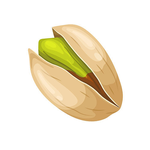 pistachio organic food cartoon. nut natural, healthy nature, snack ingredient nutshell, green seed, nutrition shell pistachio organic food vector illustration