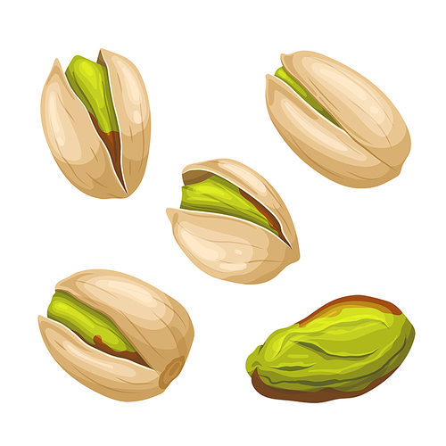 pistachio nut food set cartoon. healthy seed, ingredient snack, brown nutshell, green organic, natural vegetarian pistachio nut food vector illustration