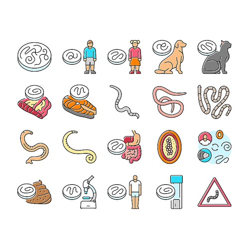 helminth worm parasite roundworm icons set vector. dog tapeworm, heart helminth ascaris, internal cat, nematode pet, pinworm giardia helminth worm parasite roundworm color line illustrations