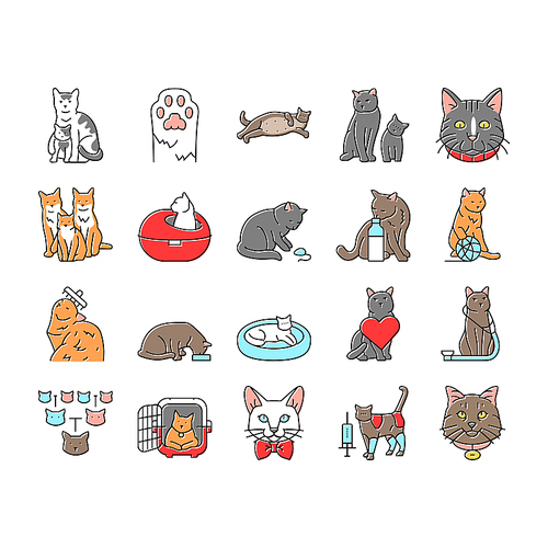 cat breeding genetics cattery icons set vector. pedigree lineage, purebred hybrid, mating selection, traits coat, temperament health cat breeding genetics cattery color line illustrations