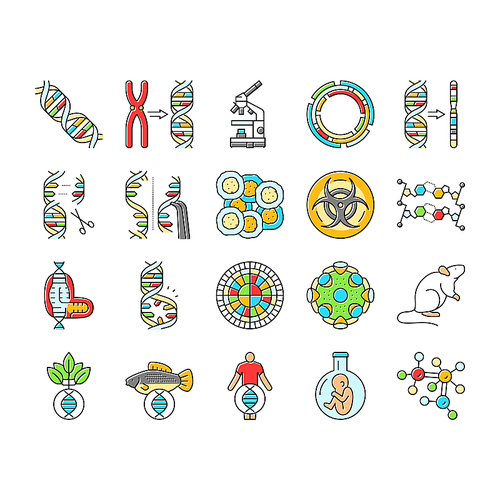 genetic engineering crispr genome icons set vector. dna editing, biotechnology genes, mutation cloning, transgenic bioinformatics genetic engineering crispr genome color line illustrations