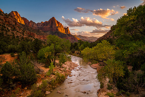 The United States of America,scenery,Travel,wide angle,aestheticism,sony,painting,Zion,Kase Pictures Cash Dollars,zion national park,sandstone,canyon,beautiful sceneries,The valley,tree,The river,The desert,Geology,dawn,ki
