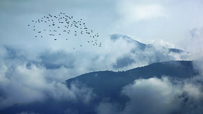 A flock of pigeons flew over the mountains in the mountains after the rain.