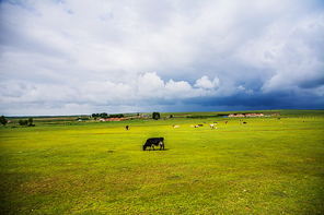 scenery,Travel,nikon,The farm,landscape,herding,lawn,rural area,No one,The hay place,farmlands,national,The sky,Nature,summertime,pastoral song,outdoors,grassland,The sun,soil