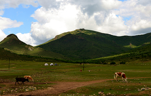 inner mongolia,documentary,Of course,scenery,Travel,grassland,color,capture,Challenging Theme: Grassland Impressions,The farm,herding,outdoors,xiaoshan,rural area,lawn,Nature,Mammals,The sky,Country.
