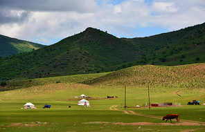 inner mongolia,documentary,Of course,scenery,Travel,grassland,color,capture,Challenging Theme: Grassland Impressions,lawn,tree,beautiful sceneries,The farm,rural area,sheep,pastoral song,farmlands,summertime,herding,The hay place.