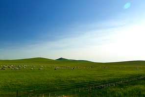 humanities,light and shadow,inner mongolia,documentary,Of course,scenery,Travel,grassland,color,Challenging Theme: Grassland Impressions,The hay place,summertime,rural area,outdoors,farmlands,Comfortable weather,national,The sun,xiaoshan