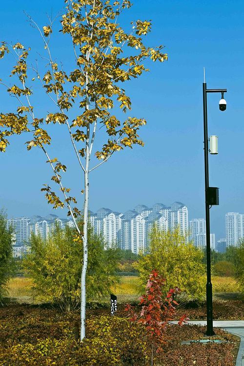 scenery,canon,datong,fall,no one,outdoors,season,landscape,nature,ki,branch,the sky,bright,the park,summertime,comfortable weather,color,c. environment,country,lawn