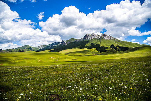 The blue sky, the white clouds, the alpine meadows, the real dream place