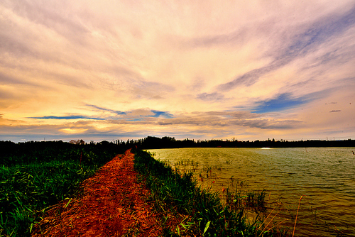 xinjiang,scenery,wide angle,nikon,color,wujiaqu,tree,At night,The sun,twilight,outdoors,light,waters,fall,cloud,Comfortable weather,summertime,lake,It's gold.