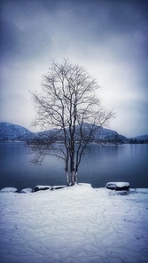 The winter solstice alone in the Hunan lake, the feeling of drift. (So with cold to increase bitter cold feeling?)