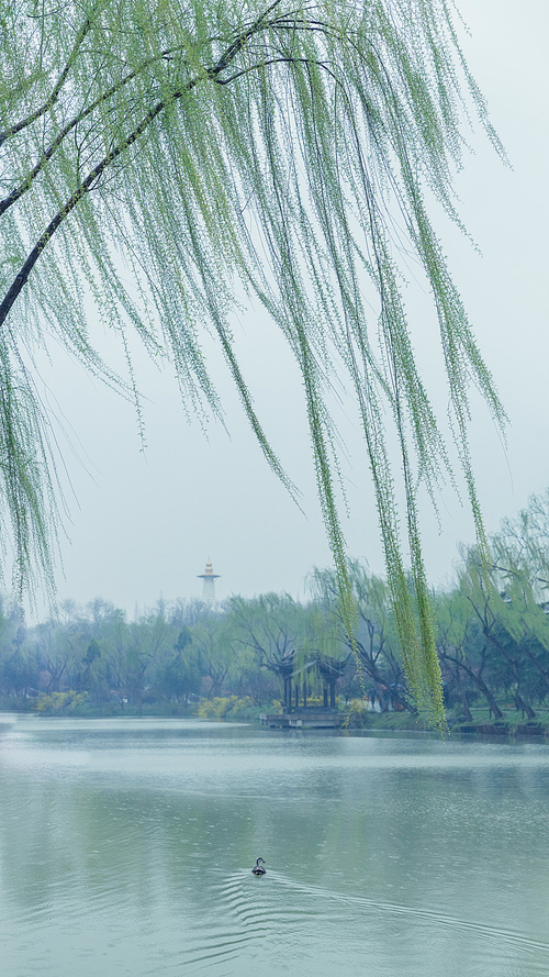 xihu lake, yangzhou, jiangsu