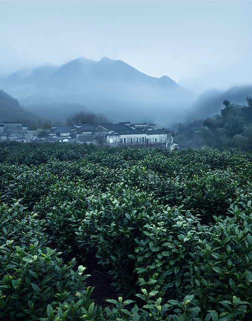 Huangtian Village, Jingxian County, Anhui Province