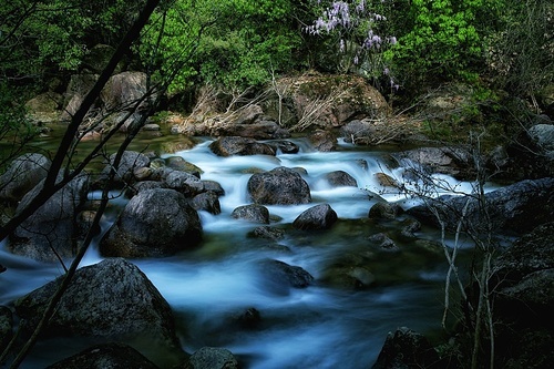 mountain stream,slow door,stream,Outdoor Shooting,rapids,Nature,rock,cascades,kawai,landscape,No one,tree,Travel,flow,Leaf,fall,sports,outdoors,shan,moss