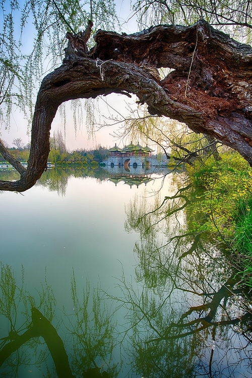 Reflection,yangzhou,Morning,spring,xihu lake,The city,willow,wuzhinqiao,No one,C. Environment,pond,Leaf,mirror,The park,outdoors,The sky,light,Travel,plant,lawn