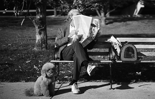 강아지와 공원 벤치에 앉아있는 노인