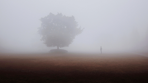 It's a day of heavy fog and haze.