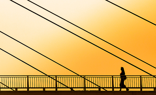 scenery,nikon,Jinzhou, Liaoning Province,Sunset,light,silhouette,No one,The bridge,straight line,The sun,backstage,structure,dawn,Tall,express,iron,color,twilight,connect,construction